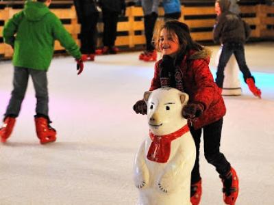 MDM_20140103_026_b
