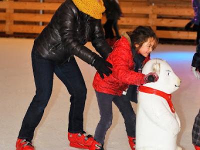 MDM_20140103_032_b