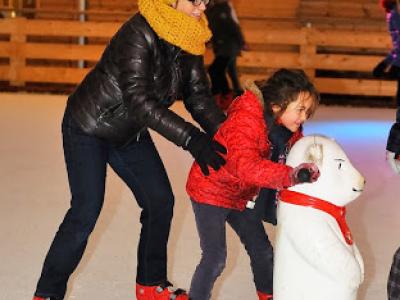 MDM_20140103_032_c