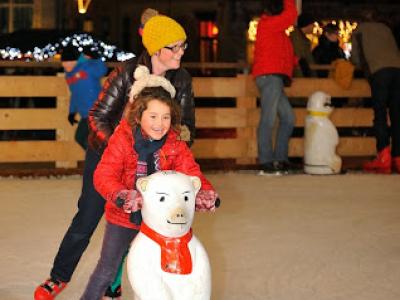 MDM_20140103_038_c