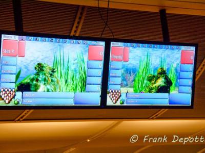 2014_bowling-1