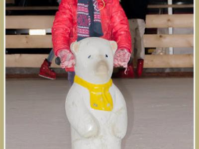 schaatsen_20140103_020